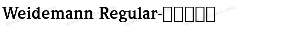Weidemann Regular字体转换